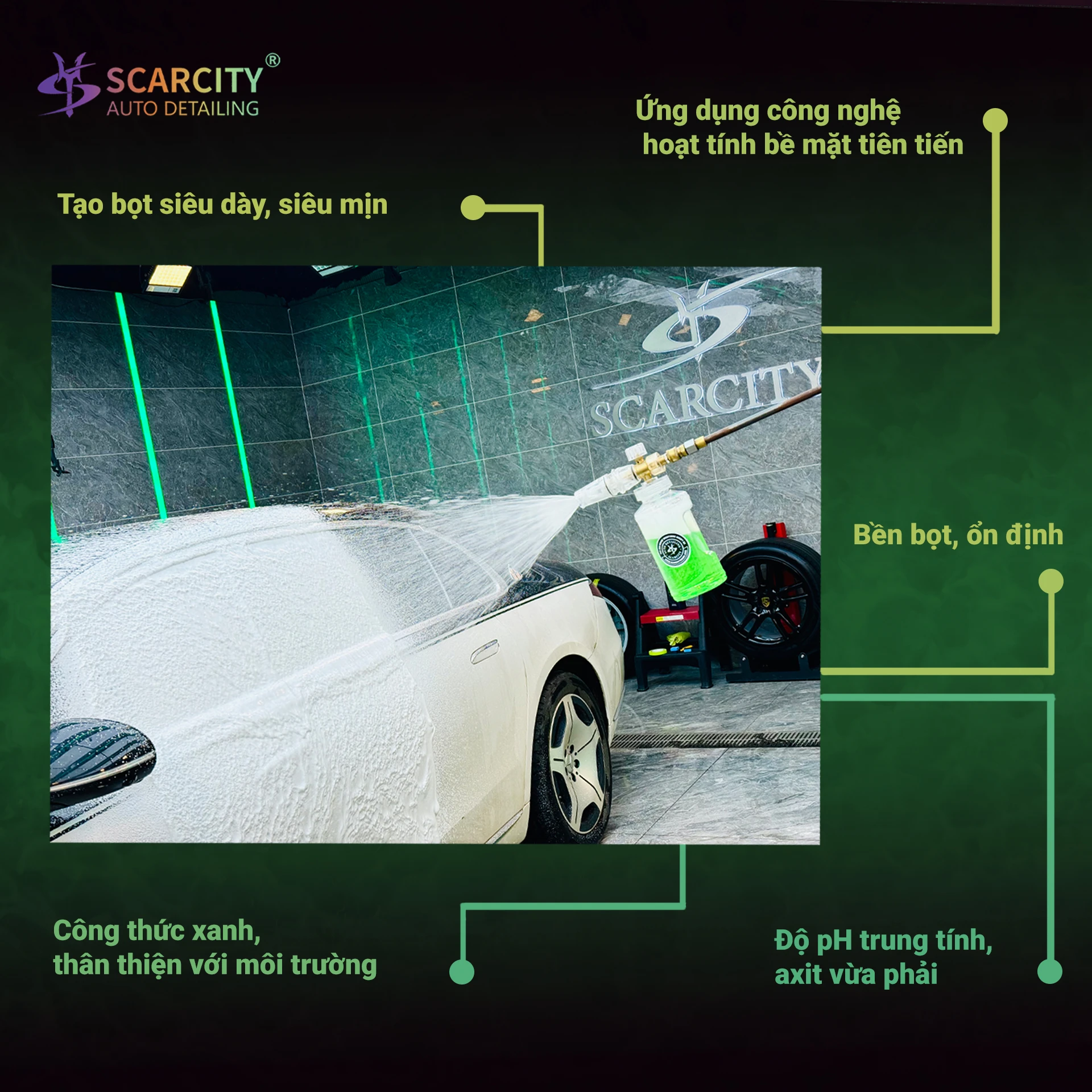 ảnh vuông 1 copy